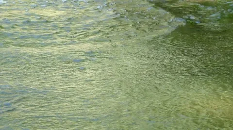 Green water Stock Footage 8607358