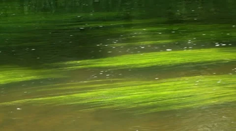 Green water Stock Footage 11107895