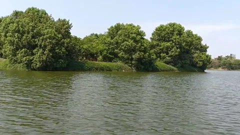 Green Water Video stock 238682967