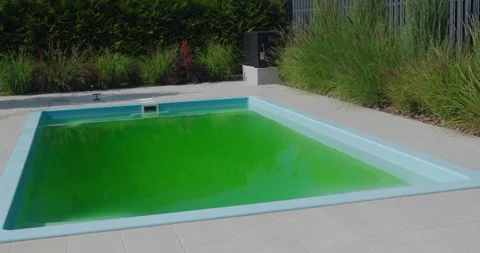 Green water in a home pool in the backyard of a house. Bloomed due to incorrect Stock Footage 250866178