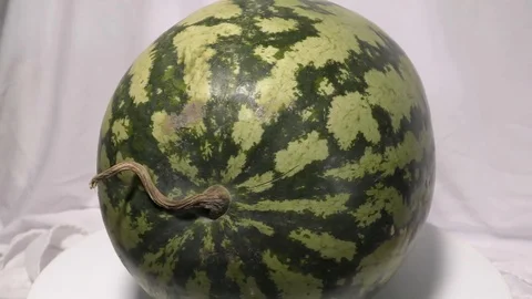 A green water melon with light falling and moving on surface Video stock 111887899