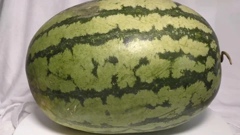 A green water melon moving on white surface Stock Footage 111887896