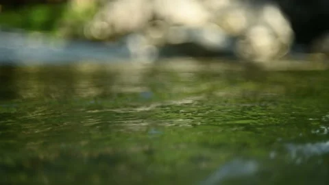 Green water of a mountain river in summer Video stock 211758545