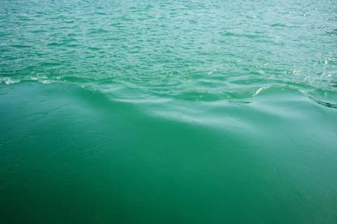 Green Water Stock Photos