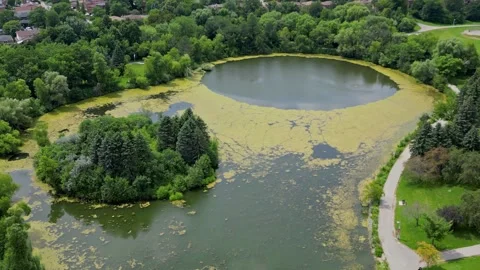 Green Water Polluted by Toxic Algae Blooms 스톡 동영상 297221738