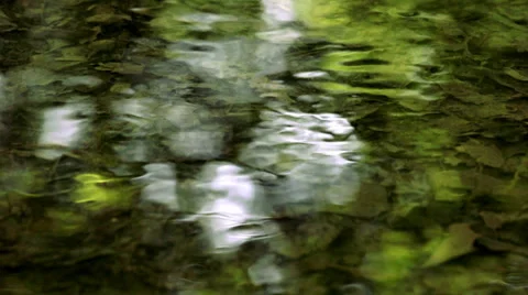 Green water reflections Stock Footage 38087842