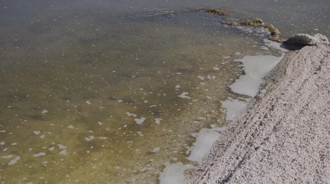 Green Water Sludge Stock Footage 65704992