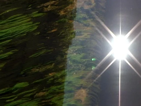 Green Water Star Stock Footage 489916