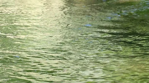 Green water surface Stock Footage 8607374