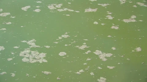 Green water surface. Stock Footage 27063562