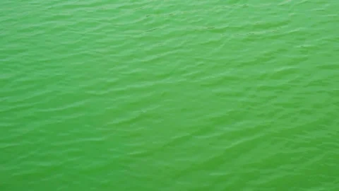 Green water surface with small waves and ripples Stock Footage 330233157