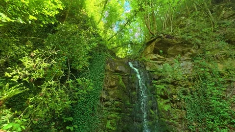 Green waterfall cascades down mossy rock face. Balkans, Serbia. Stock-Footage 336893277