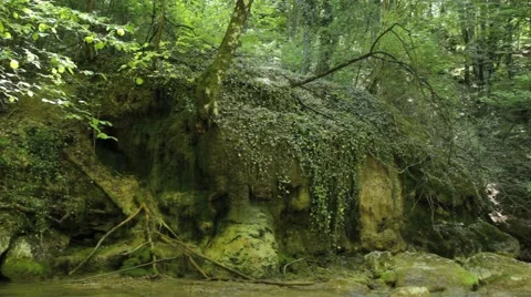 Green waterfall Stock Footage 48117150