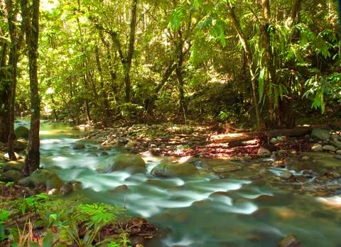 Green waterfall Stock Photos