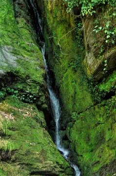 Green waterfall Stock Photos