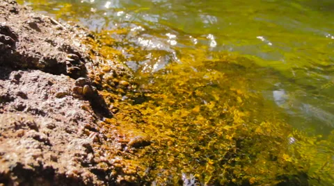 Green waters river, rocky margin Stock Footage 57483874