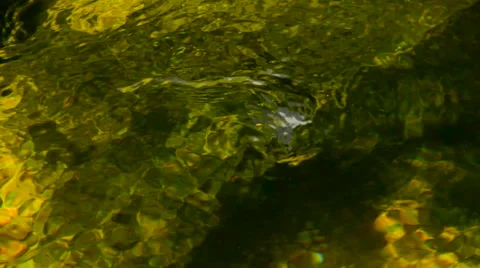 Green waters river surface with whirls Stock Footage 57456819