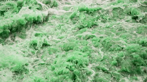 Green waters, a St. Patrick's tradition. Slow Motion 240 fps Stock Footage 50409326