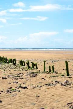 Green wave breakers Stock Photos