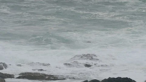 Green waves hitting shore rolling over rock w kelp Stock Footage 262489370
