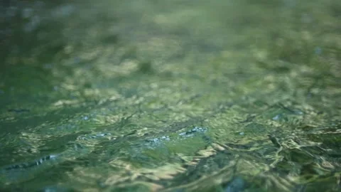 Green waves on the pond of a mountain stream (abstract, slow motion) Stock-Footage 260844368