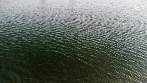 Green waves of a restless lake Stock Photos