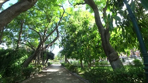 Green way 2 스톡 동영상 79646940