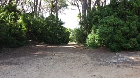 Green way Stockbeeldmateriaal 135868731