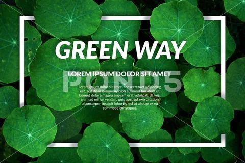 Green Way Leaf Template. Natural Elements and Text PSD Template