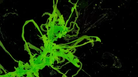 Green web rotating 스톡 동영상 330444547