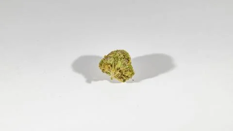 Green weed in the studio Stock Photos