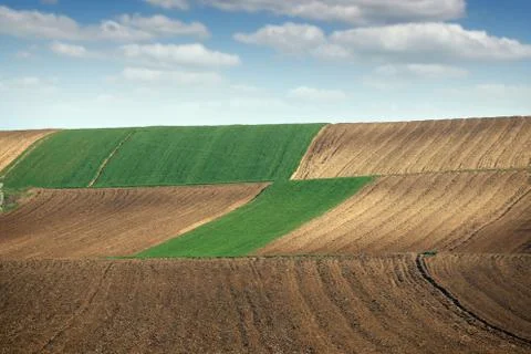 Green wheat and plowed fields landscapes 写真素材