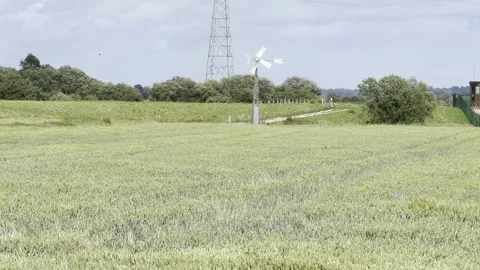 Green wheat crop and distant windmill detail Stock Footage 336814952