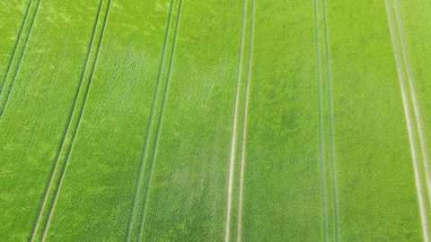 Green Wheat Field Blowing in the Wind Aeriel Stock Footage 196980226