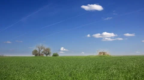 Green wheat field Stock Footage 24653844