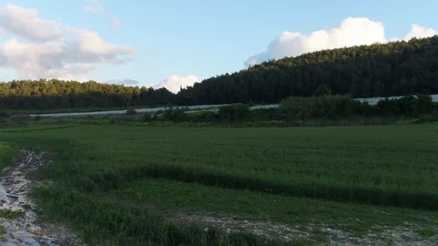 Green Wheat field Stock Footage 126944867