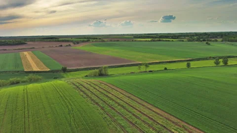Green wheat field on hills under sunset sky with clouds Stock Footage 344743090