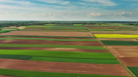 Green wheat field on hills under blue sky with clouds Stock Footage 344743778