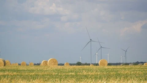 Green wheat field in motion with wind turbines in the background. Stock Footage 114818005