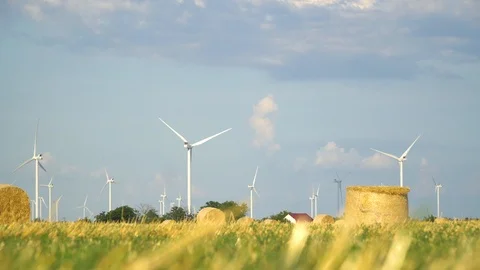 Green wheat field in motion with wind turbines in the background. Stock Footage 114818097