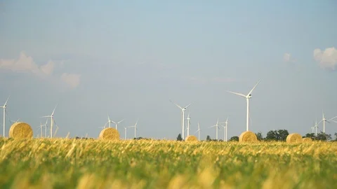 Green wheat field in motion with wind turbines in the background. Stock Footage 114891619