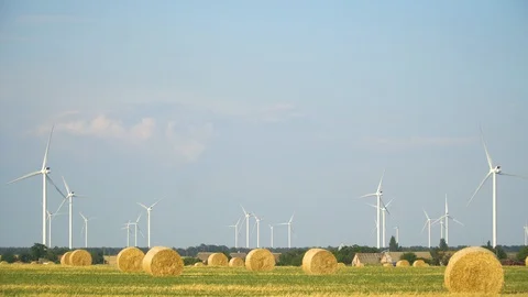 Green wheat field in motion with wind turbines in the background. Stock Footage 114891712