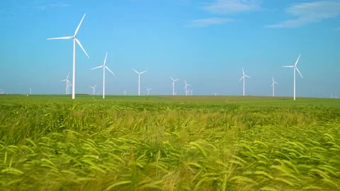 Green wheat field in motion with wind turbines in the background. Spring season. Stock Footage 150663147