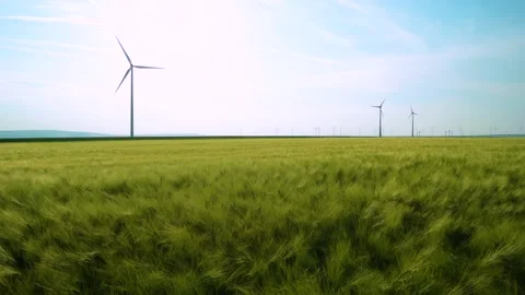 Green wheat field in motion with wind turbines in the background. Spring season. Stock-Footage 150663163