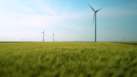 Green wheat field in motion with wind turbines in the background. Spring season. 스톡 동영상 150663176