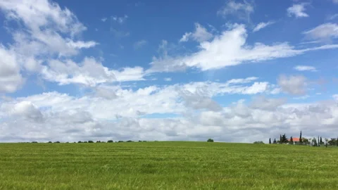 Green Wheat Field in Spain 库存影片 309012329