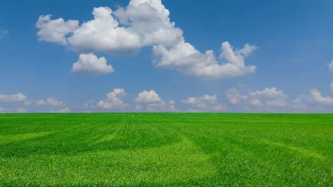 Green wheat field under a cloudy sky time lapse scene Video stock 166576633