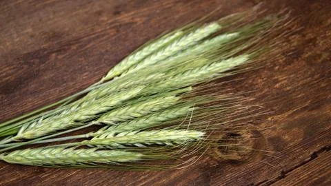 Green wheat Stock Photos