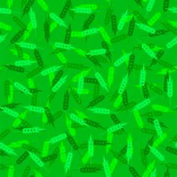 Green Wheat Seamless Pattern. Natural Cereal Spikes Stock Illustration