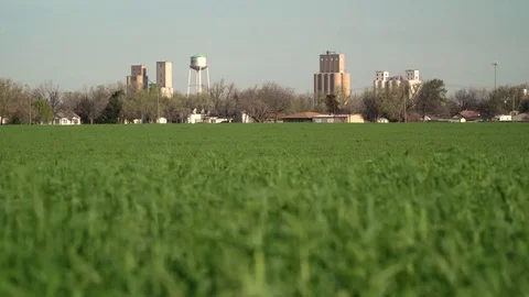 Green Wheat With Small Town in Background 動画素材 74566201